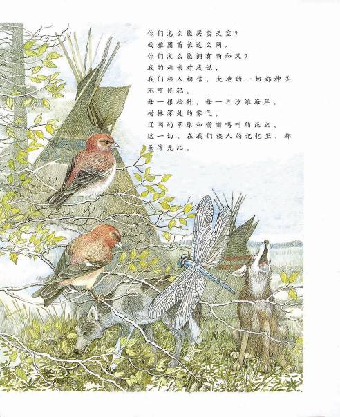 西雅图酋长的宣言 (09),绘本,绘本故事,绘本阅读,故事书,童书,图画书,课外阅读